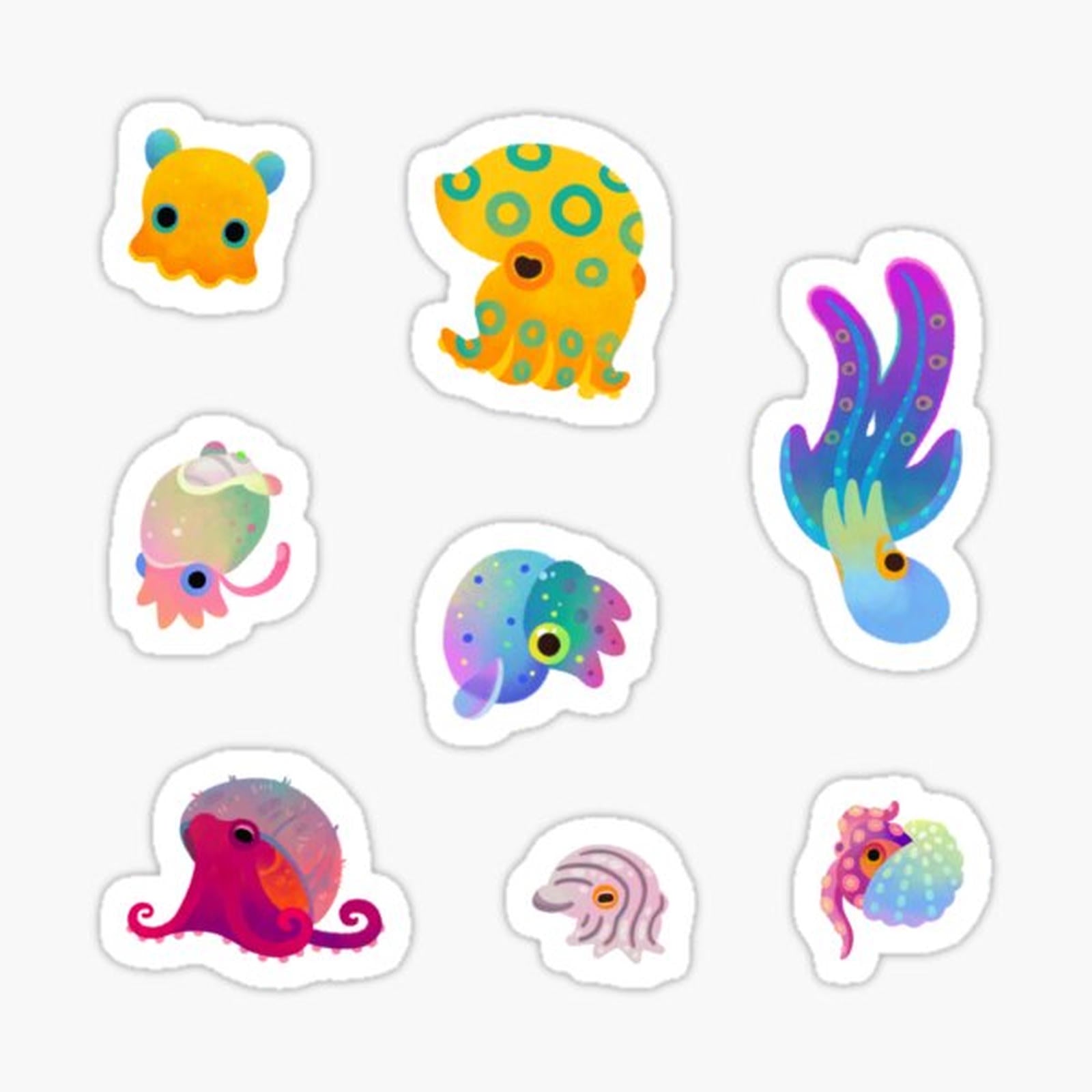 Cephalopod