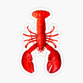 Lobster
