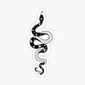 Starry Snake