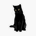 Black Cat