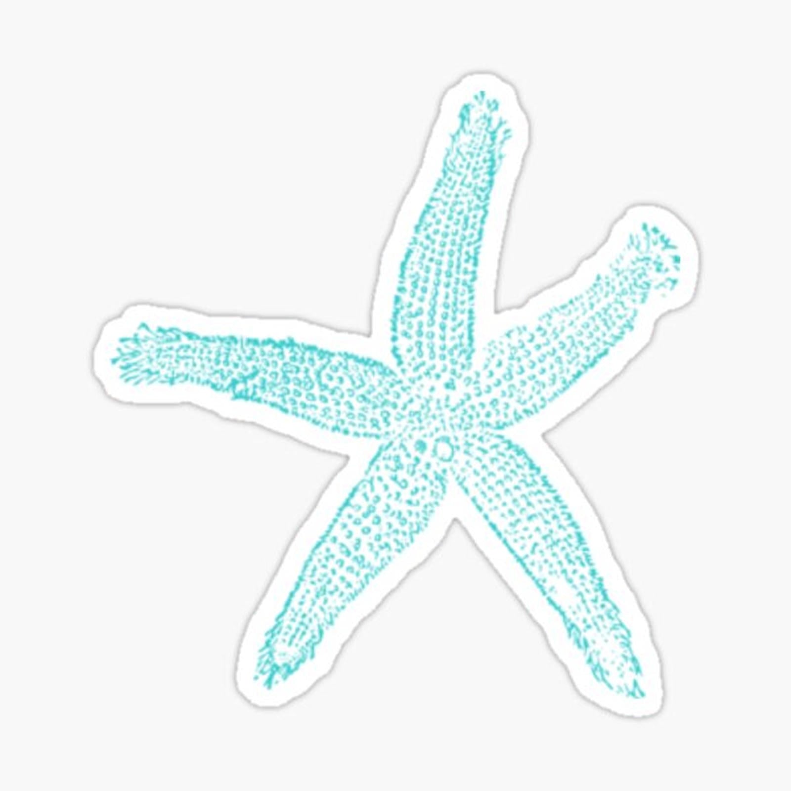 blue starfish