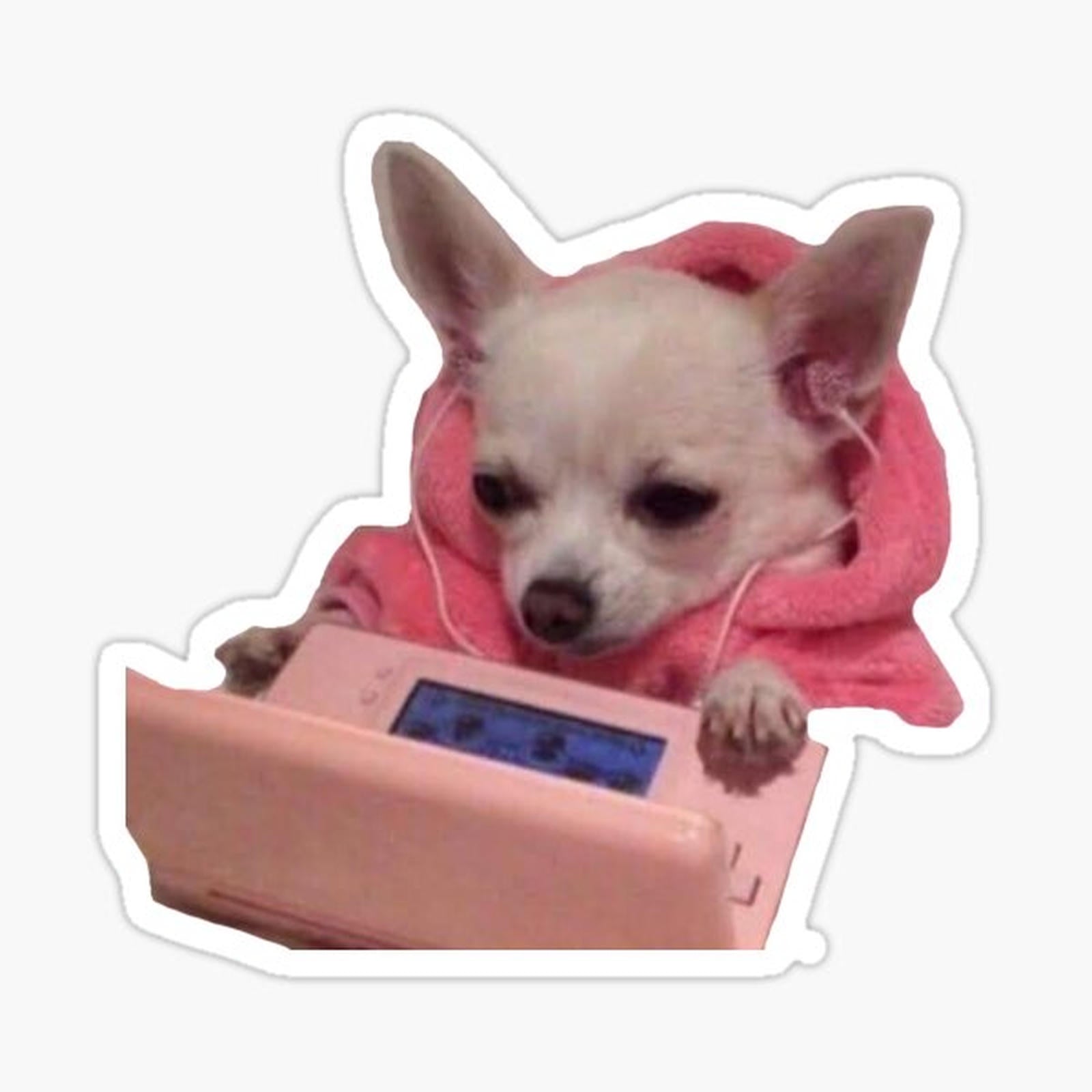 Busy Dog