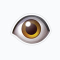 eye