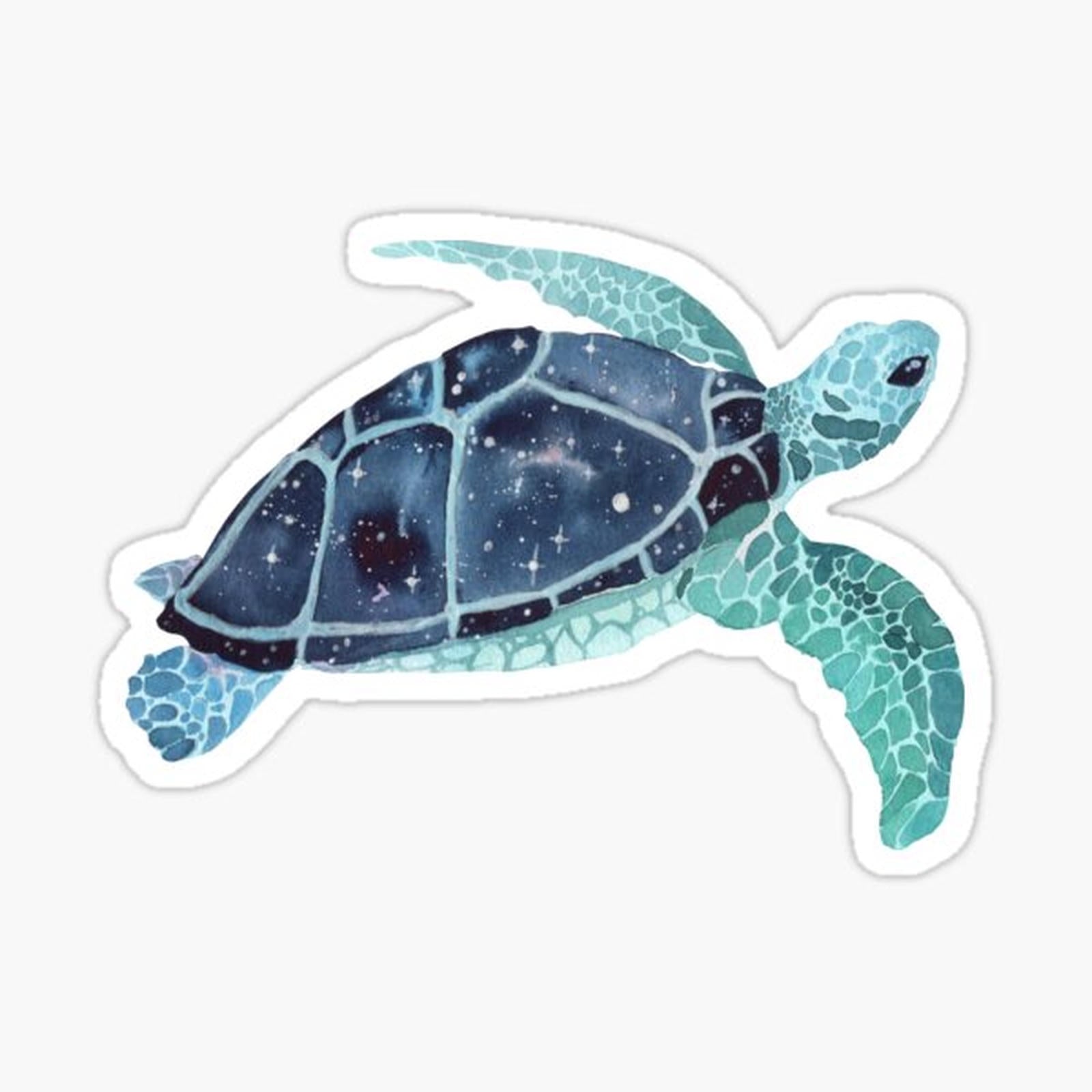 Galaxy Sea Turtle
