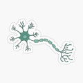 green neuron