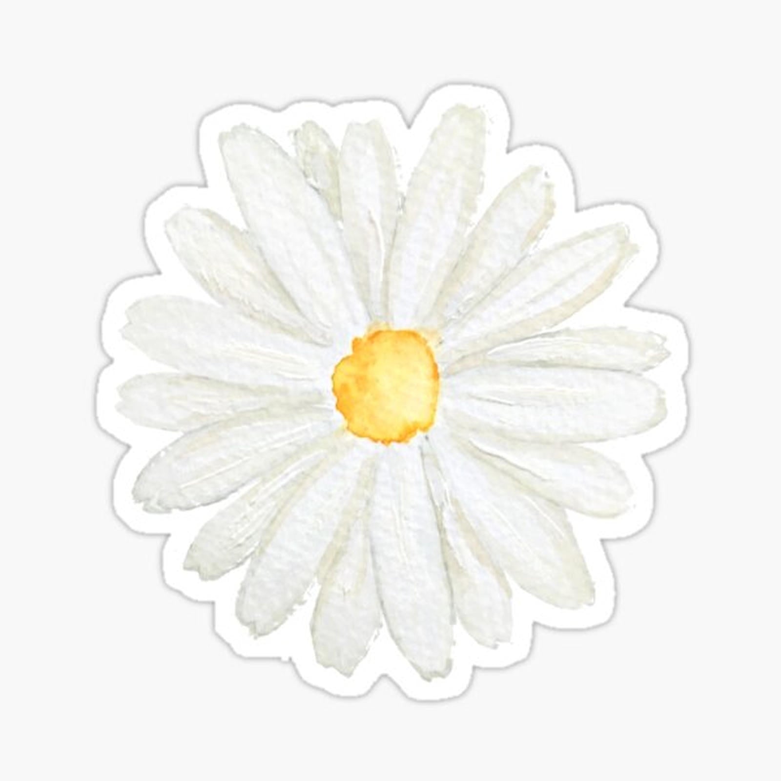 hand painted one little white  daisy watercolor