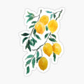 hand painted yellow lemon watercolor