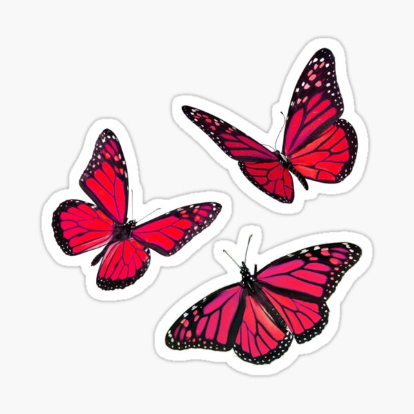 monarch butterfly sticker