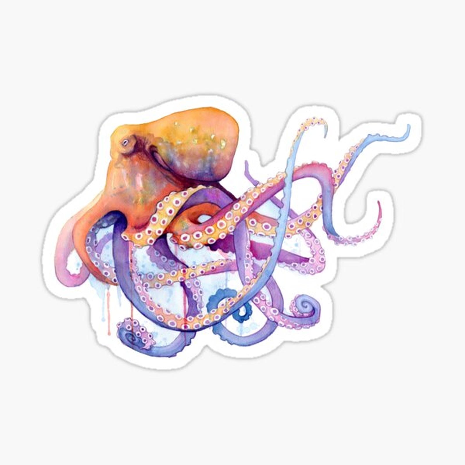 Octopus II