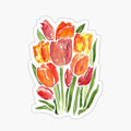 Orange  Tulips