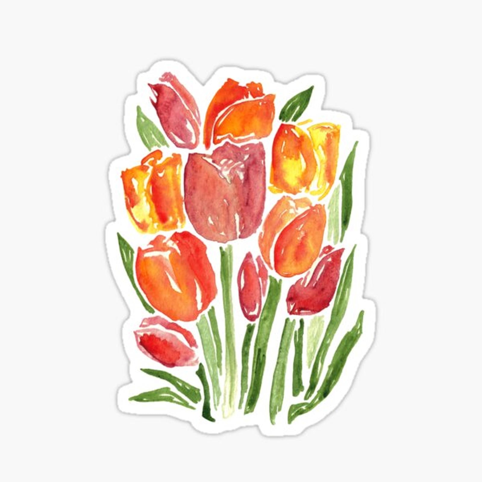 Orange  Tulips