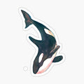 Orca Design Sticker