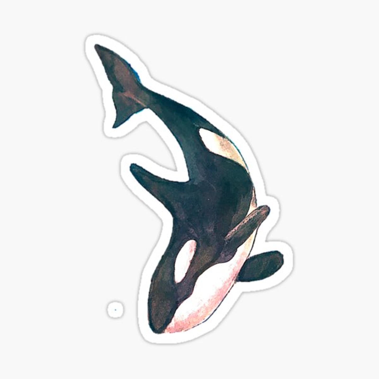 Orca Design Sticker