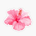 Pink Hibiscus Sticker