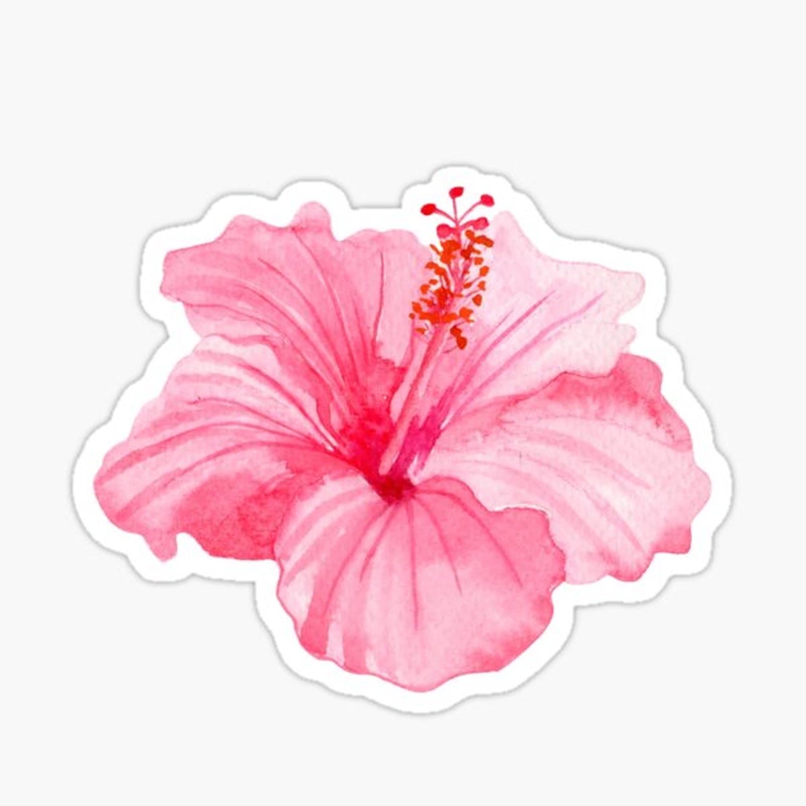 Pink Hibiscus Sticker