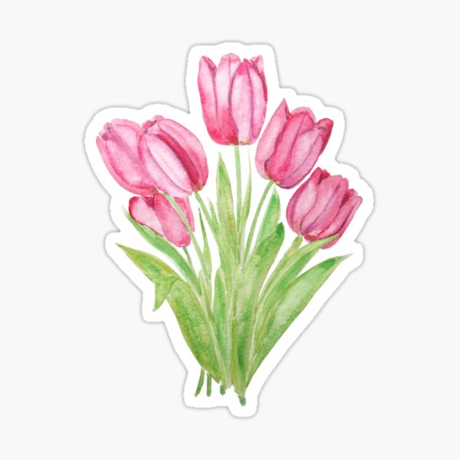 pink tulips flowers
