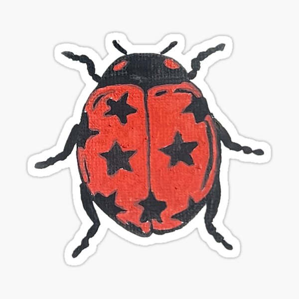 star ladybug