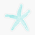 starfish