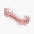 Strip for the ekg