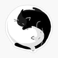 Yin Yang Cats - version 2